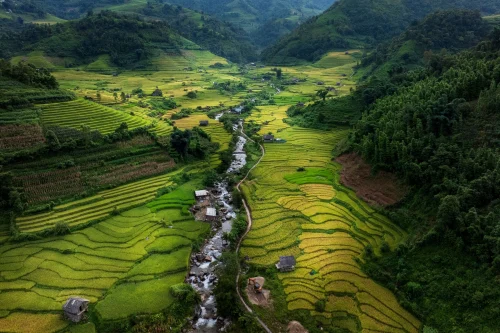 Hình nền Việt Nam 58