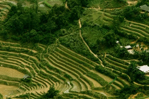Hình nền Việt Nam 70