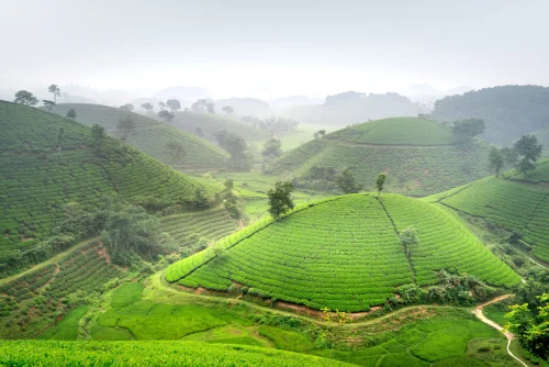 Hình nền Việt Nam 74