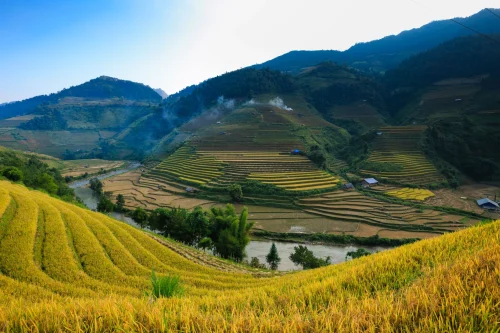 Hình nền Việt Nam 79