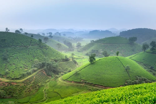Hình nền Việt Nam 91