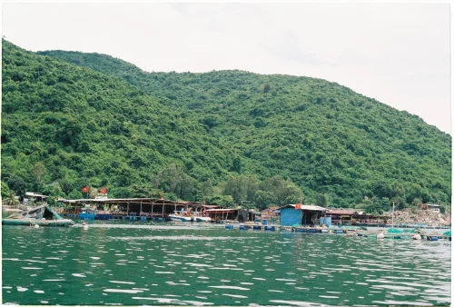Hình nền Việt Nam 95