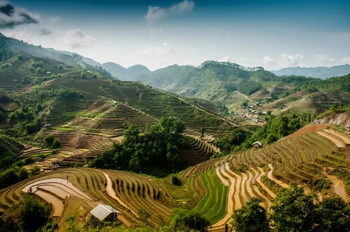 Hình nền Việt Nam 103