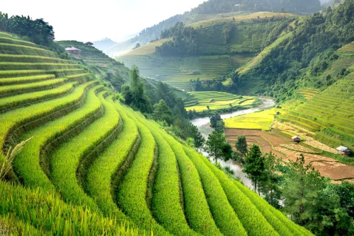 Hình nền Việt Nam 104