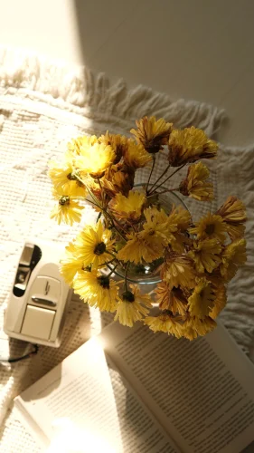 Hình nền vintage 4
