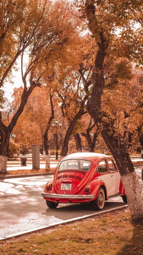 Hình nền vintage 11