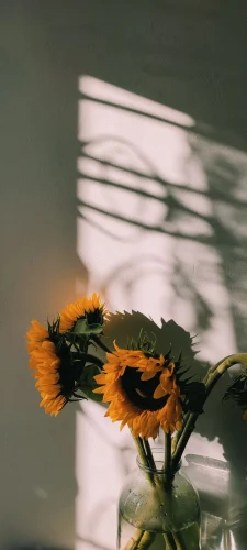 Hình nền vintage 22