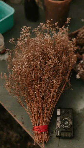 Hình nền vintage 39