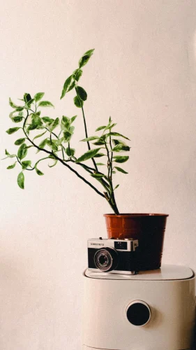 Hình nền vintage 48
