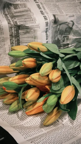 Hình nền vintage 73
