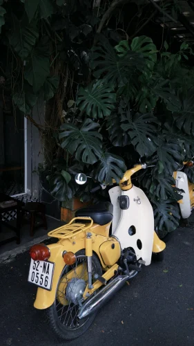 Hình nền vintage 103