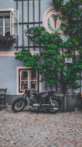 Hình nền vintage 123