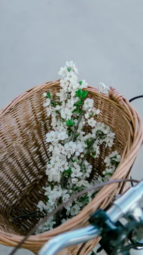 Hình nền vintage 124