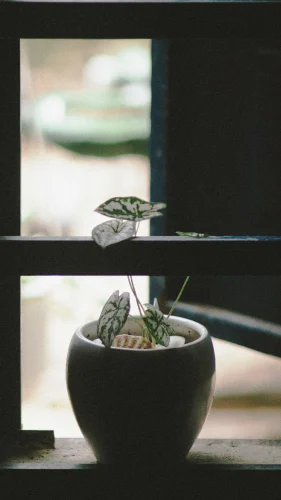 Hình nền vintage 137