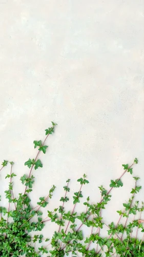 Hình nền vintage 155