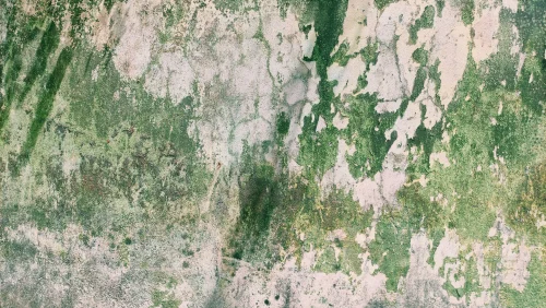 Hình nền vintage 98