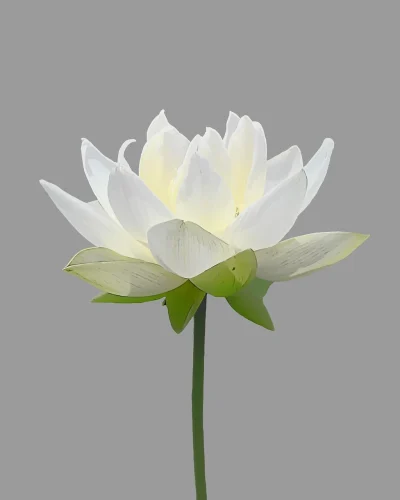 Hình nền xám 31
