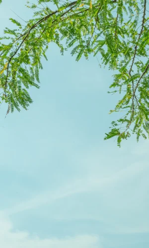 Hình nền xanh 14