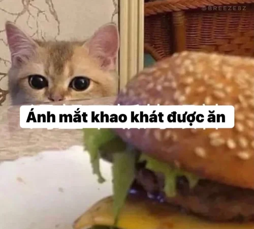 Meme ăn uống 15