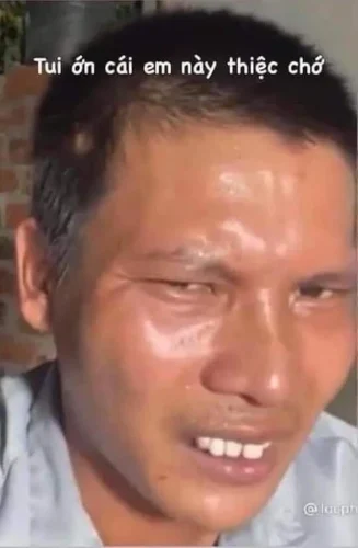 Meme bất lực 60