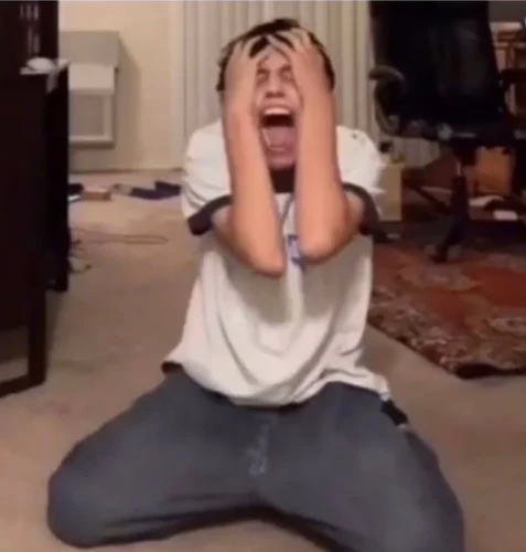 Meme bất lực 4