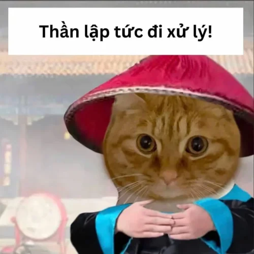 Meme bất lực 11