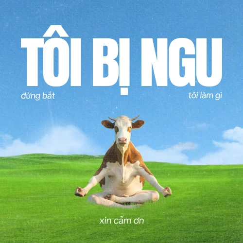 Meme bất lực 12