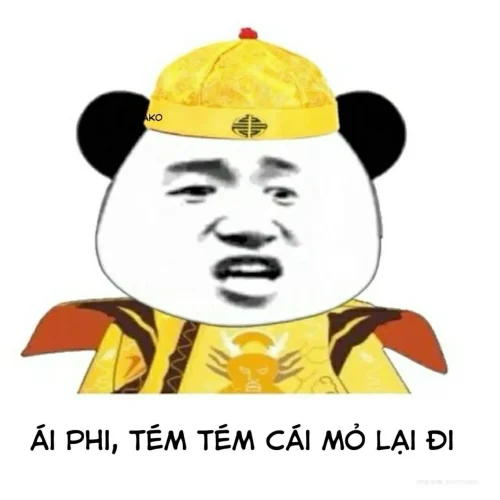 Meme bất lực 13