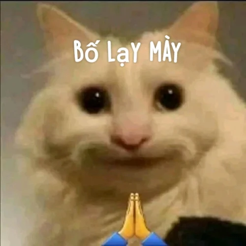 Meme bất lực 16