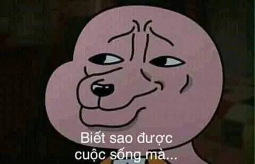 Meme bất lực 17