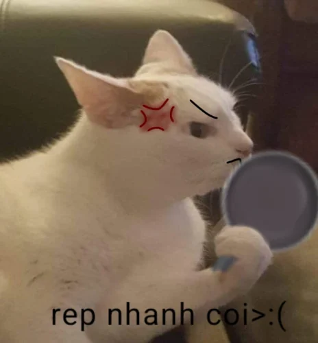 Meme bất lực 21