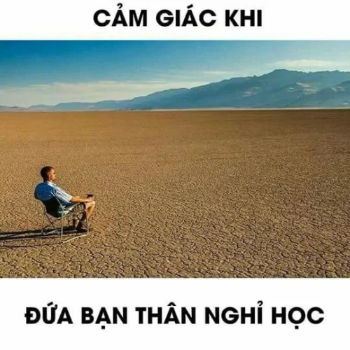 Meme bất lực 35