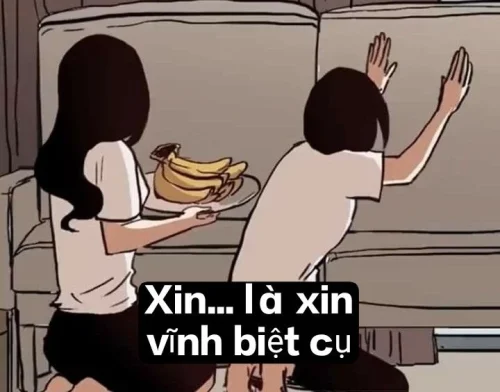 Meme bất lực 36