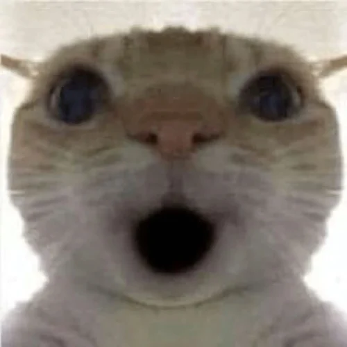 Meme bất ngờ 12