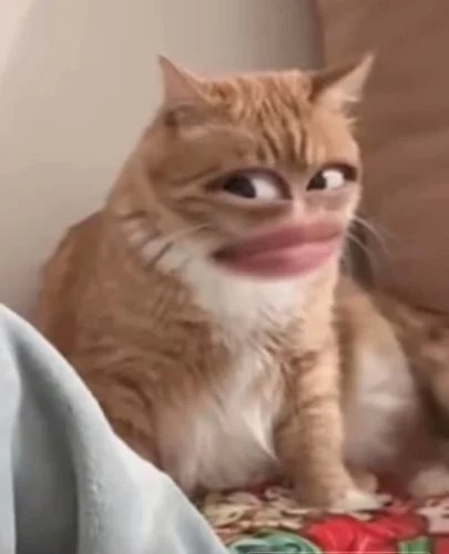 Meme bất ngờ 22