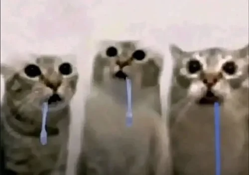 Meme bất ngờ 25