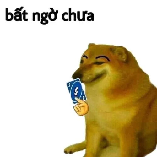 Meme bất ngờ 32