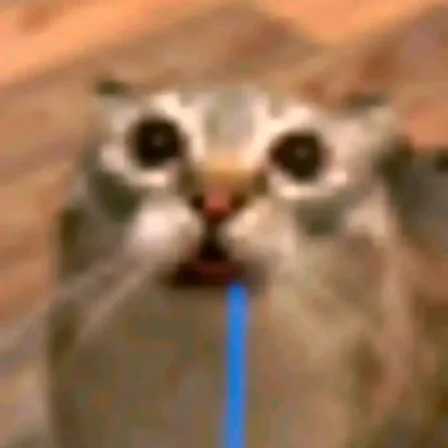 Meme bất ngờ 36