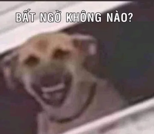 Meme bất ngờ 38