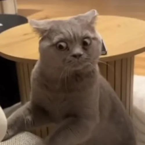 Meme bất ngờ 41