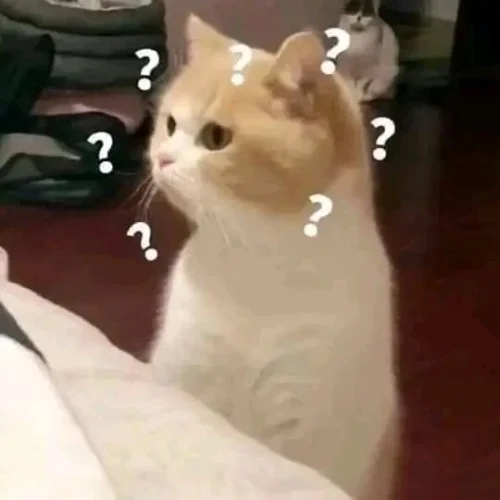 Meme bất ngờ 51