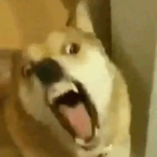 Meme bất ngờ 60