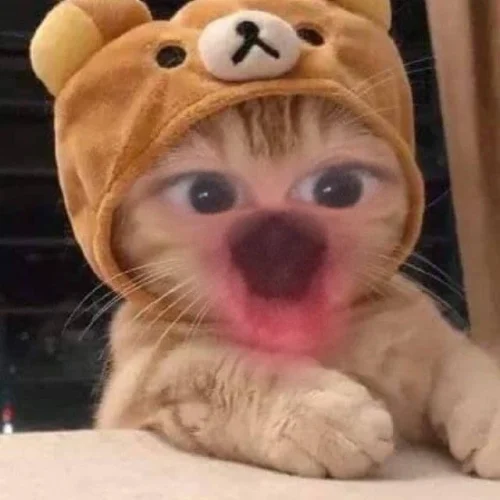 Meme bất ngờ 7