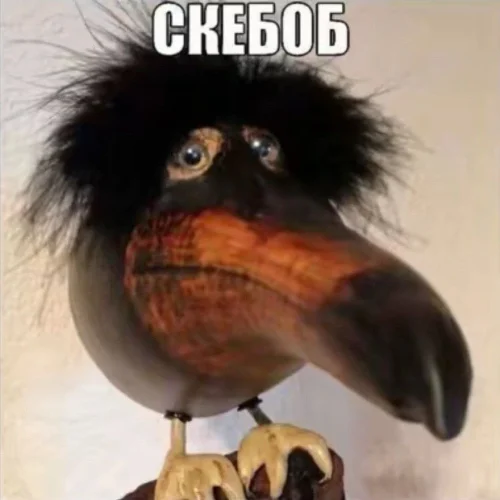 Meme bất ngờ 25