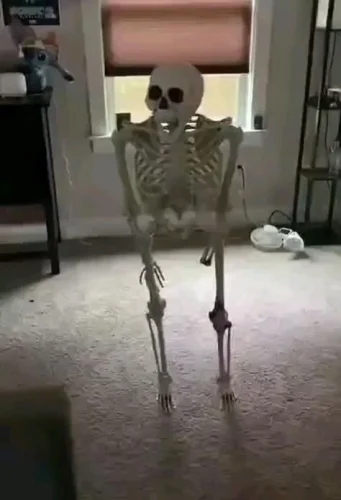 Meme bộ xương 8