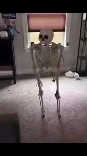 Meme bộ xương 26