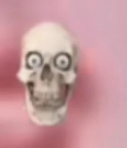 Meme bộ xương 44