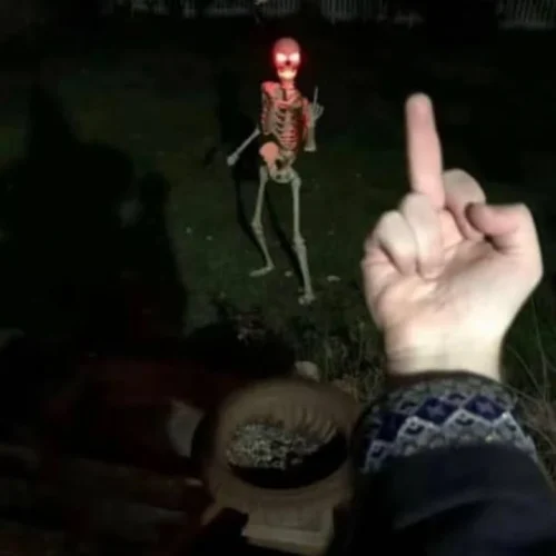Meme bộ xương 10