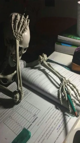 Meme bộ xương 27