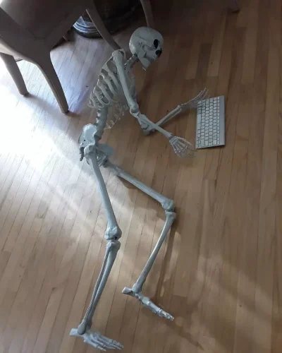 Meme bộ xương 44